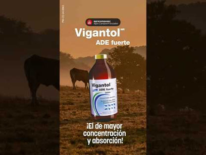 Vigantol ADE Fuerte