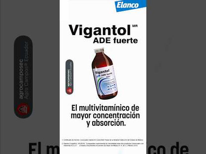 Vigantol ADE Fuerte