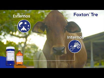 Foxton Tre