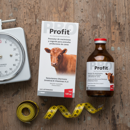 profit-flatlay-peso-crecimiento