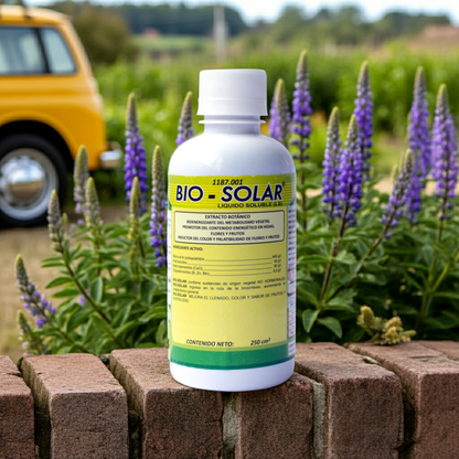 Bio Solar
