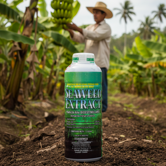 seaweed-extract-banano-costero-tropical