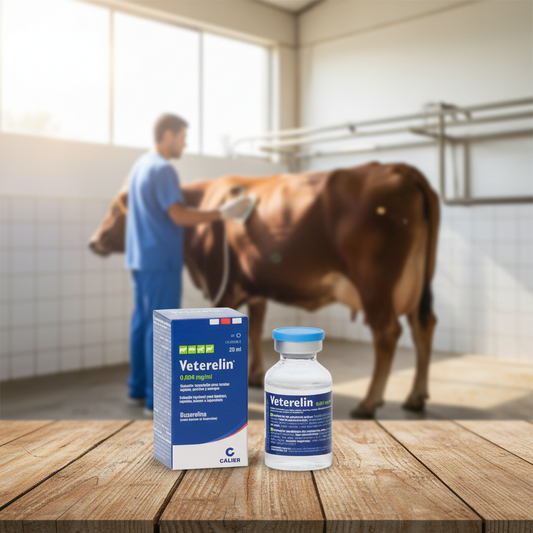 veterelin-ecografia-ovarica-quiste-superficie-madera