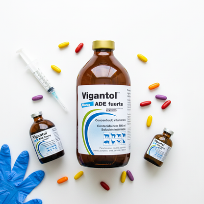 vigantol-flatlay-blanco-studio