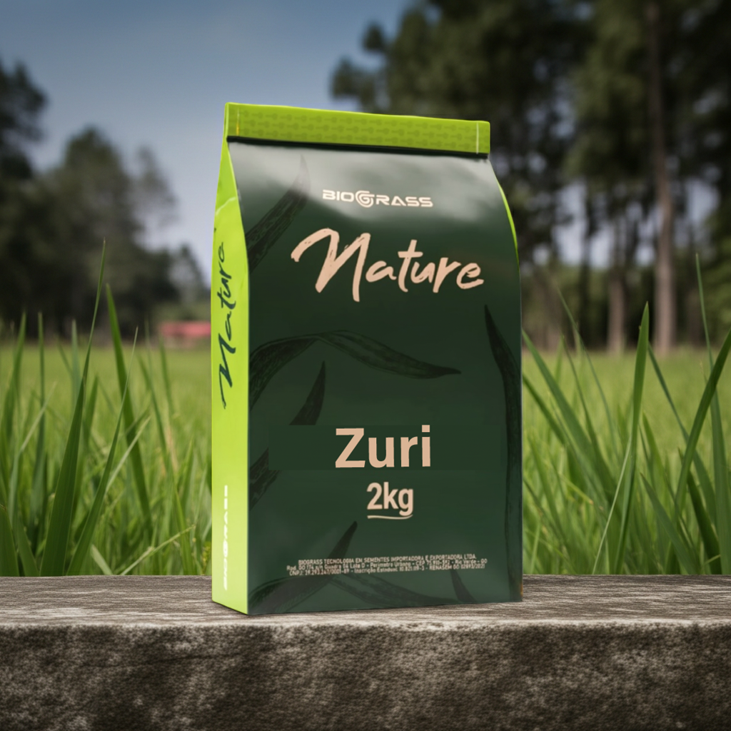 Semilla Pasto Zuri Biograss