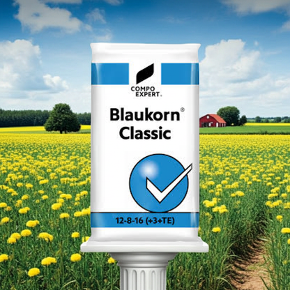 Blaukorn Classic