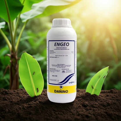 Engeo Insecticida